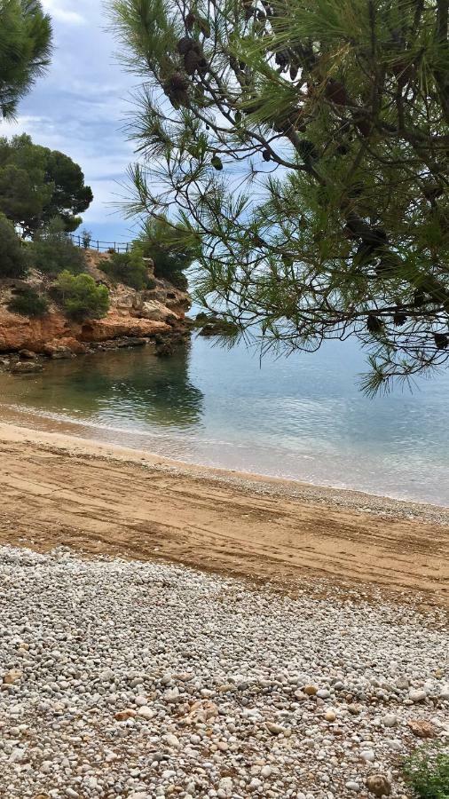 Apt Ideal Para Familias Cerca Del Mar L'Ampolla Exteriér fotografie