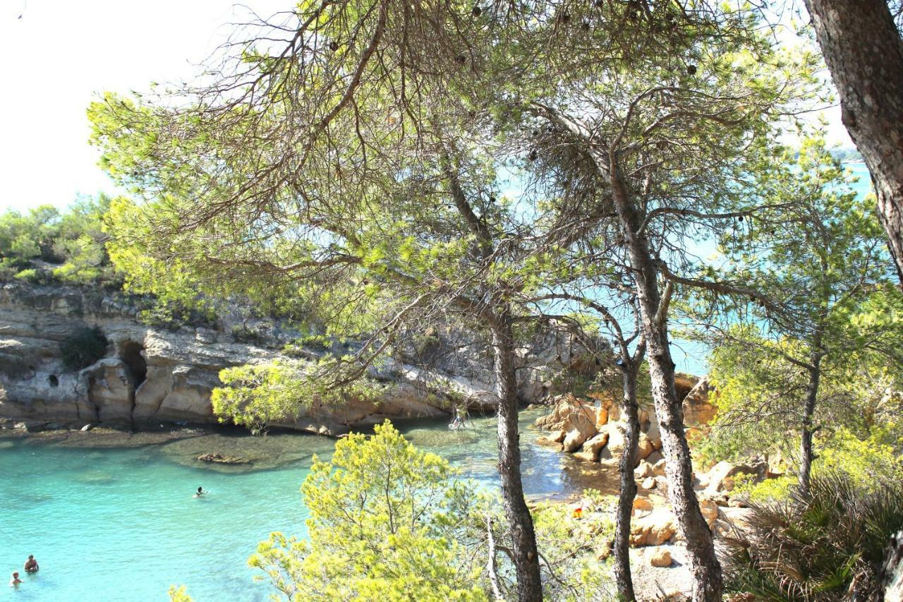 Apt Ideal Para Familias Cerca Del Mar L'Ampolla Exteriér fotografie